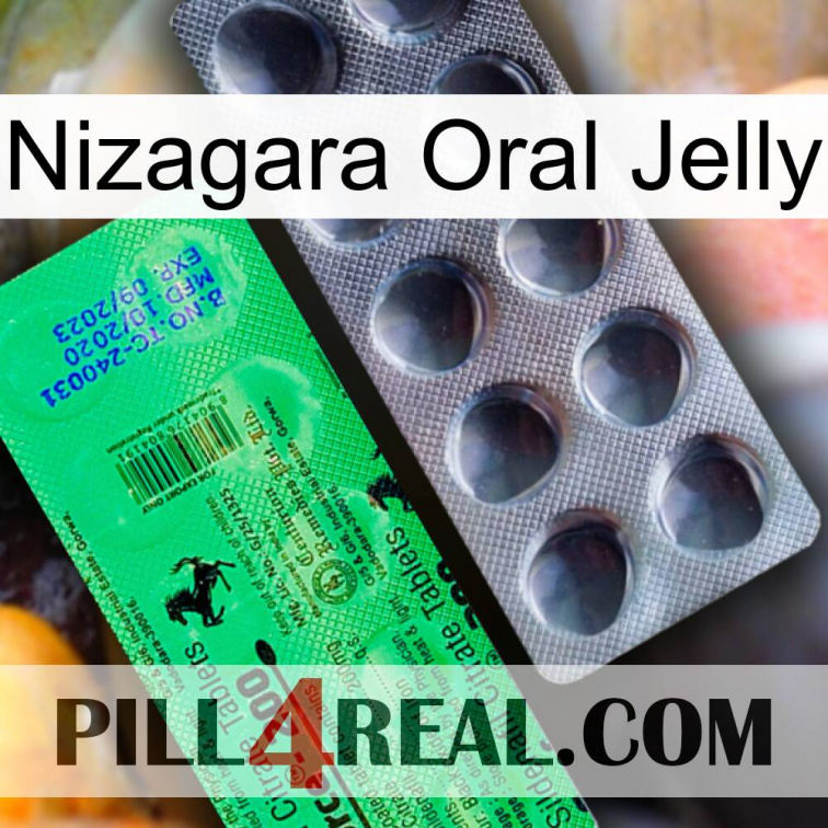 Nizagara Oral Jelly new04